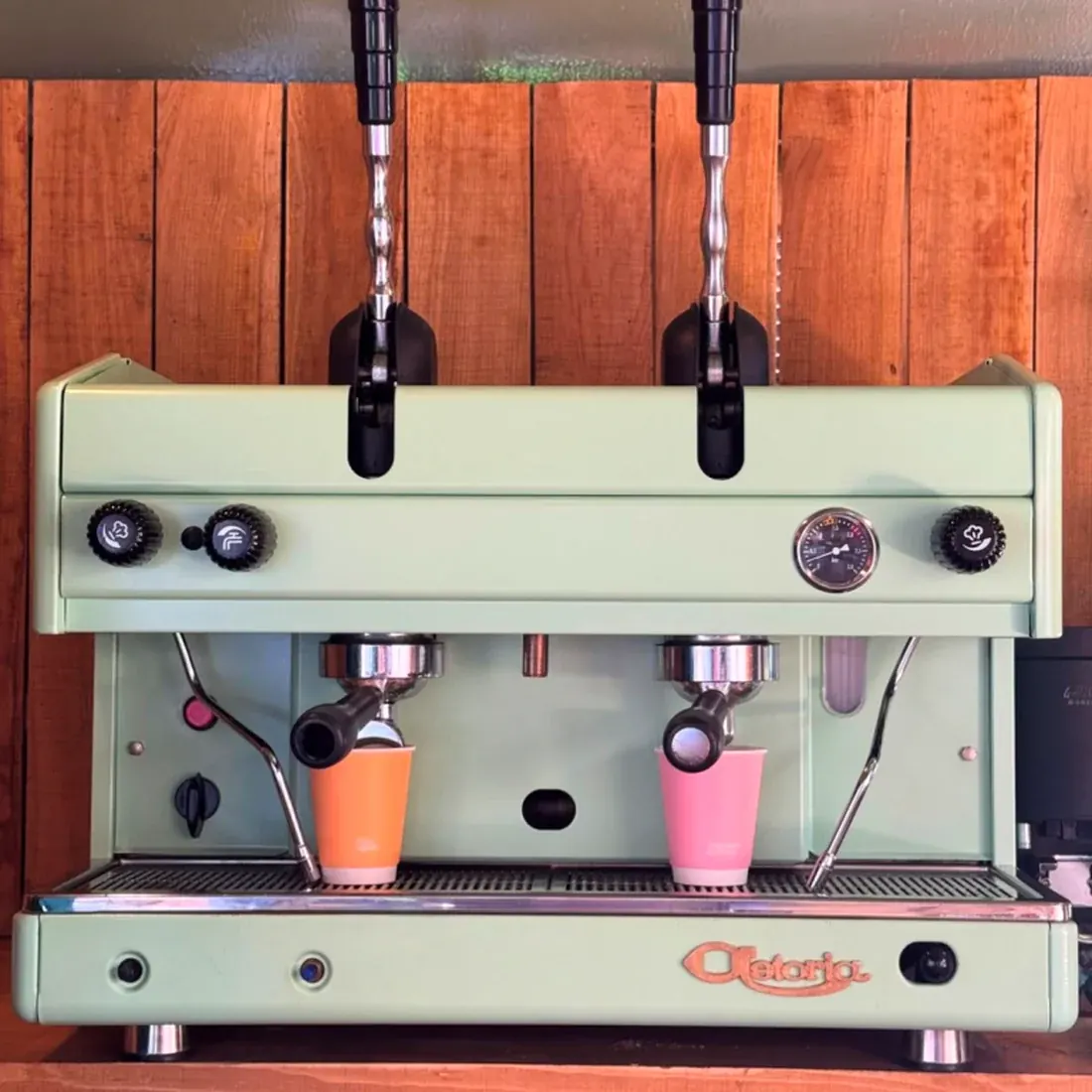 The restored sage green Astoria lever machine in the horsebox, two cups under the group heads