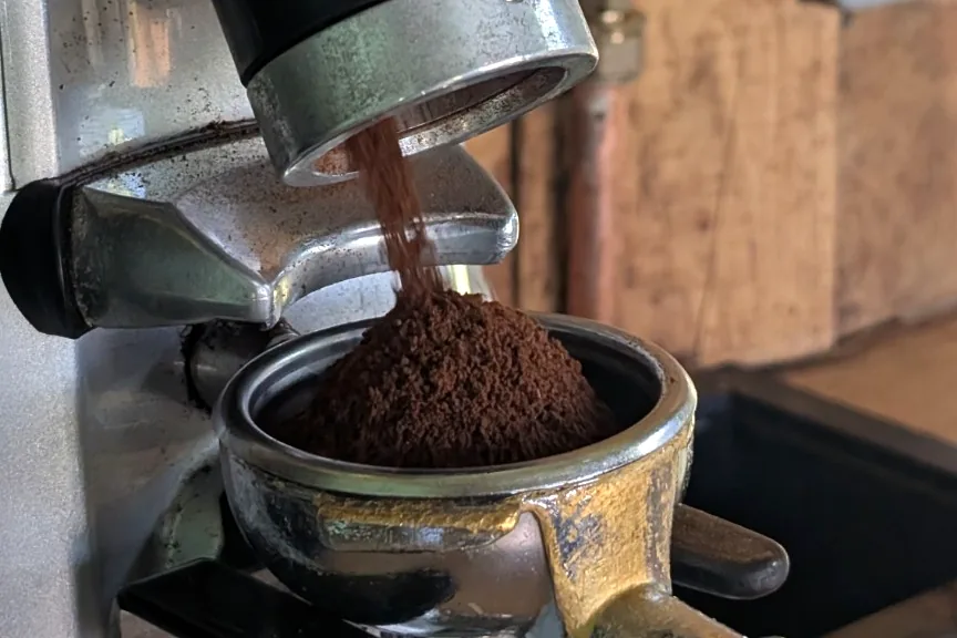 Freshly ground coffee dosing from the grinder into a portafilter in the Gallop & Grind horsebox